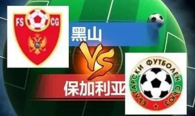 如果不是亏了《爱丽丝》，他就会像天才的特伦斯·麦克立一样赋闲至今，尽管麦克立的《荒野》跟《穷街陋巷》一样在1973年纽约电影节上受到热烈赞赏。